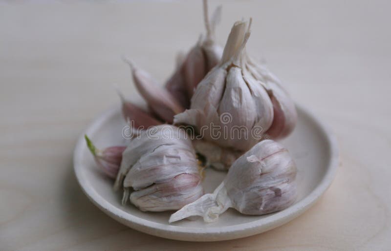 Large Garlic Head with Large Teeth Stock Image Image of ready