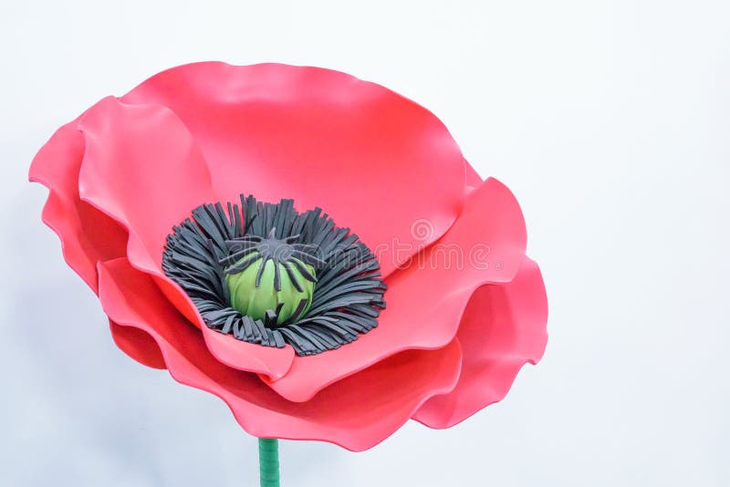 Large Giant Paper Flowers. Big pink, red poppy made from paper stock image Large Giant Paper Flowers. Big pink, red poppy made from paper stock image