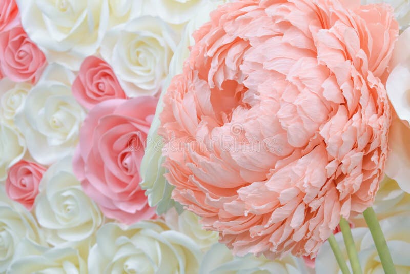 Large Giant Paper Flowers. Big pink, white, beige Rose, peony made from paper. Pastel paper background pattern lovely style. Flowe stock photo Large Giant Paper Flowers. Big pink, white, beige Rose, peony made from paper. Pastel paper background pattern lovely style. Flowe stock photo