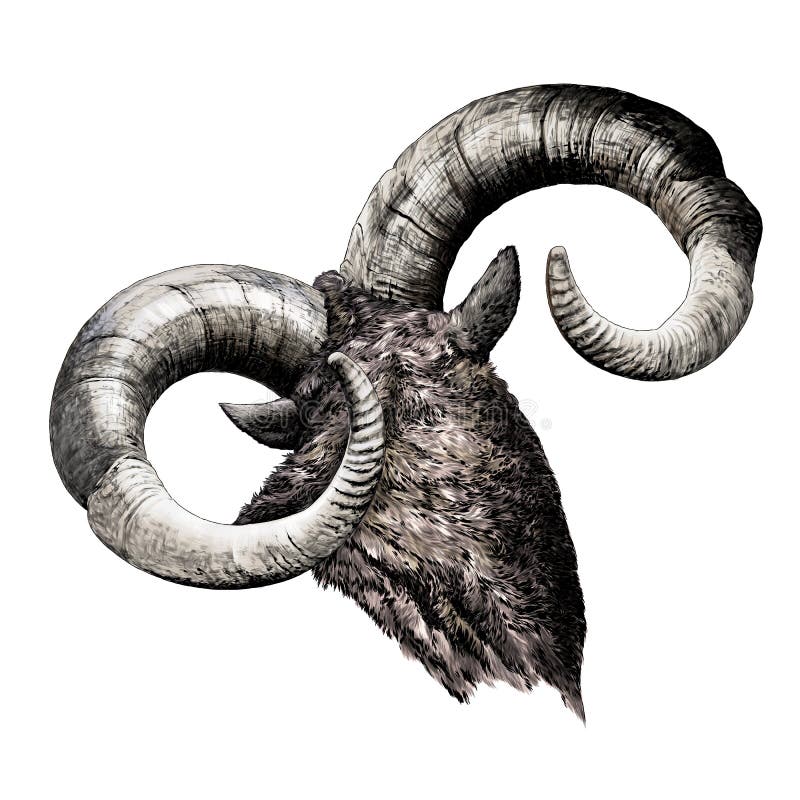 Goat with Horns Tattoo. Vector Illustration Decorative Design Stock Vector - Illustration of tattoo, mammal: 188401129