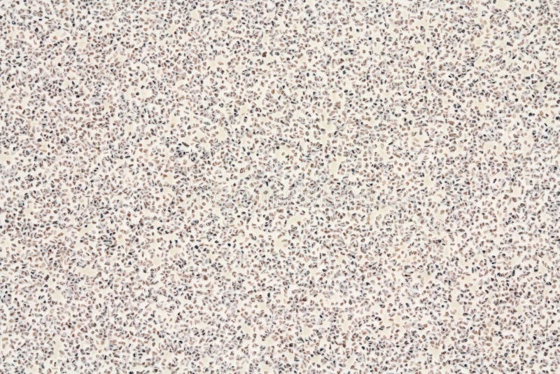Large Grains of Abrasive Material Stock Photo Image of ceramics