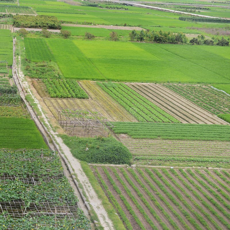 Large green farm land stock photo. Image of cultivated 32606596