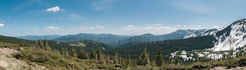 A large green forest in the mountains, surrounded by high mountains in the snow and a beautiful sky on a summer day. Carpathians