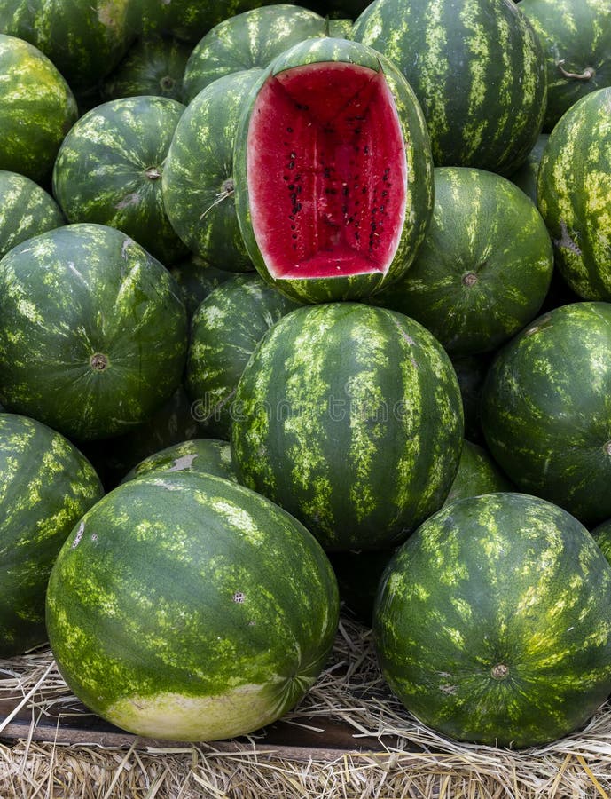 Large Green Melons stock image. Image of refreshment 172991685