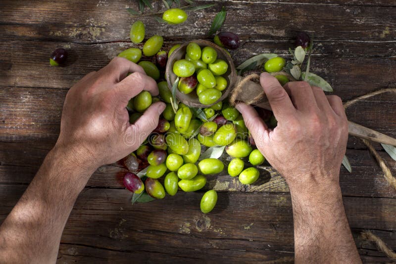 Large green olives stock photo. Image of green, fresh 80045202