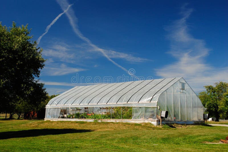 Large Greenhouse stock image. Image of tree, leaf, green 26600067