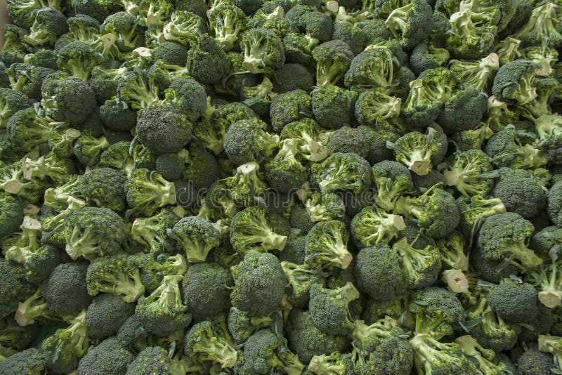 Large broccoli stock photo. Image of detail, dieting, fresh 3233396