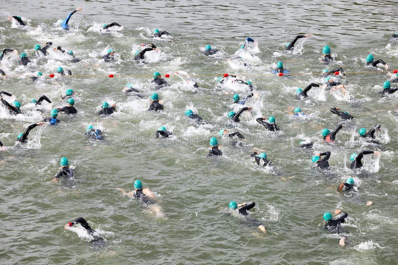 Swimming Tournament in Germany Editorial Photography Image of ascent