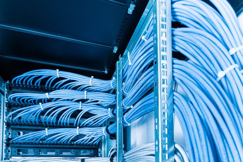 Large Group of UTP Cables, Cables in Rack Lead Stock