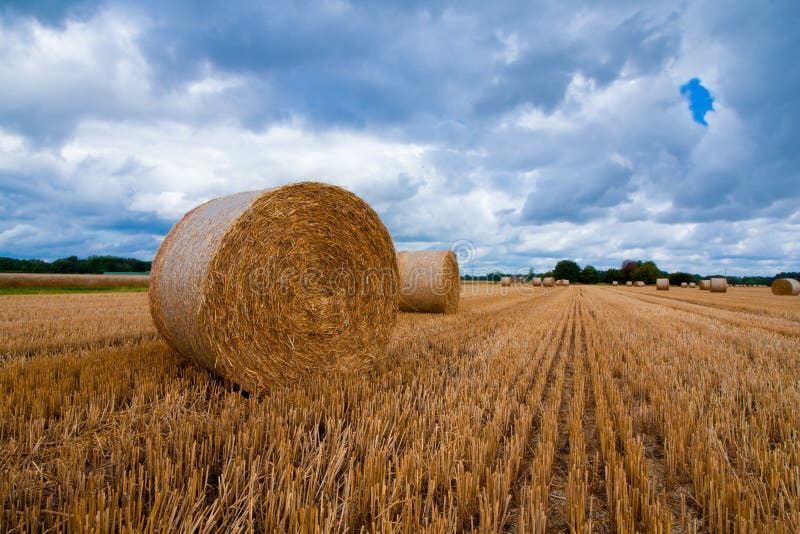 A Large Hay Bale After The Harvest Stock Image Image Of Meadow