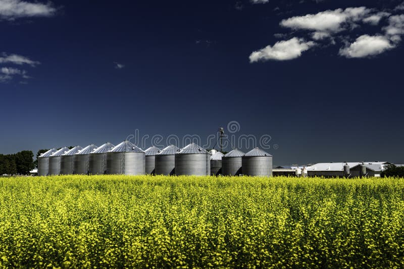 Large industrial farming operation with grain silos