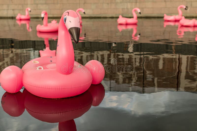 Large Inflatable Pink Flamingos on the River. Stock Photo Image of