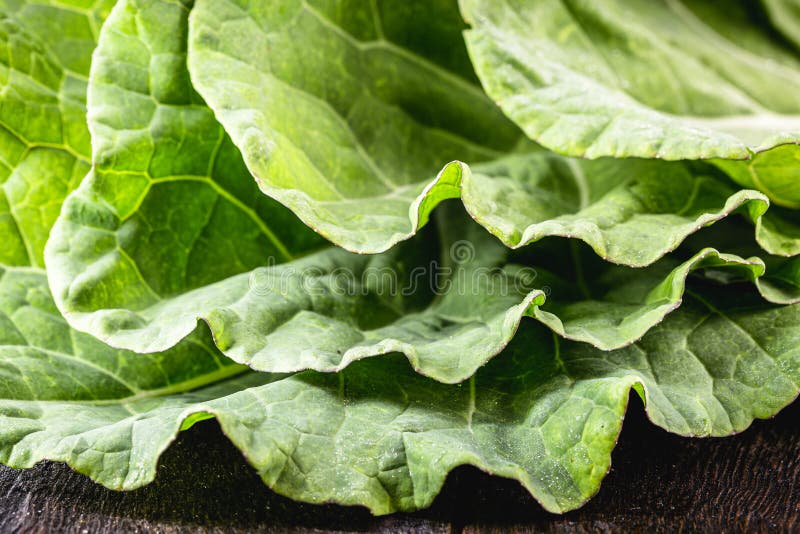 Large Kale Leaves, Loose and Green, Used in Cooking Stock Image Image