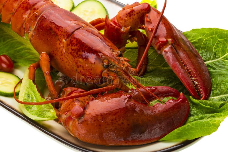 Cooked Lobster Stock Photo, Picture and Royalty Free Image. Image