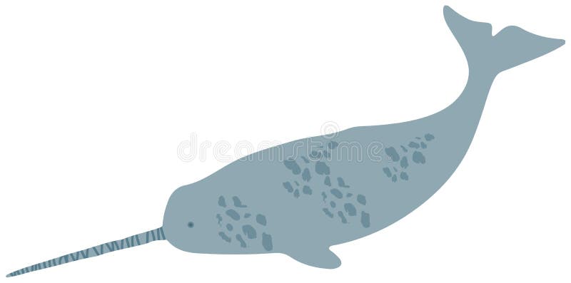 Large Marine Mammal, Whale with Long Horn. Narwhal, Dangerous Ocean Animal, Predatory Fish Stock Vector - Illustration of zoology, fauna: 227479939 Large Marine Mammal, Whale with Long Horn. Narwhal, Dangerous Ocean Animal, Predatory Fish Stock Vector - Illustration of zoology, fauna: 227479939