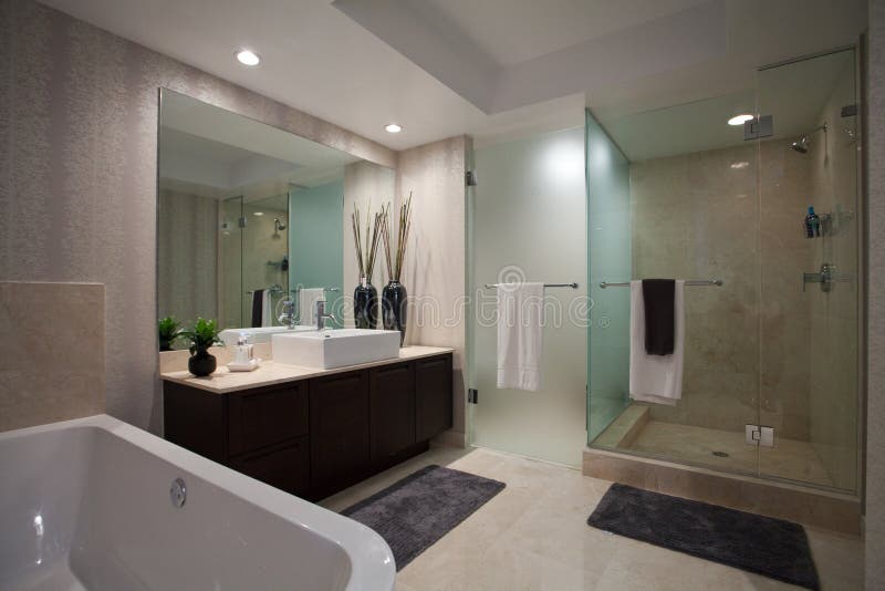 Large open Bathroom