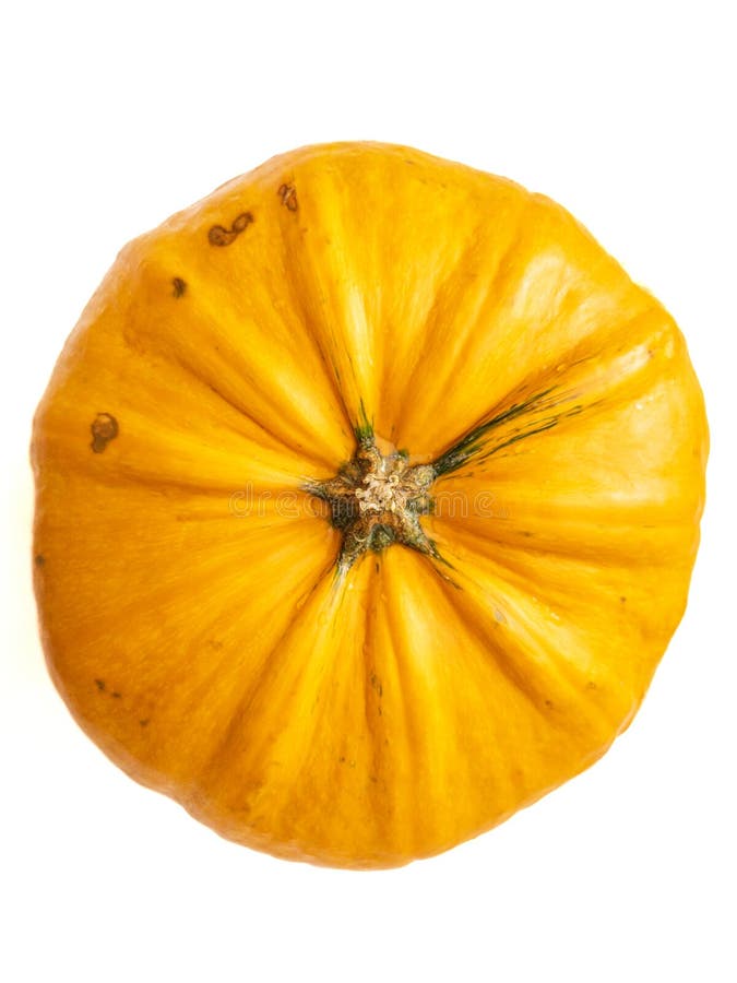 A large orange pumpkin with a green stem royalty free stock images