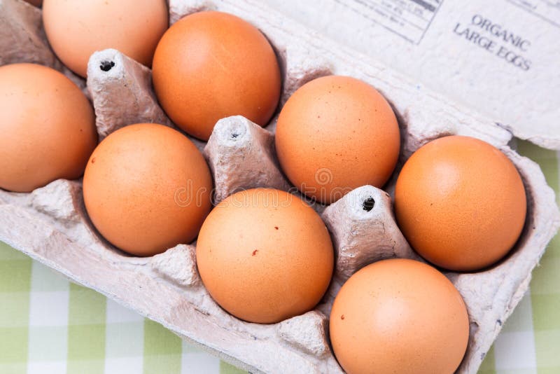 Large organic eggs stock photo. Image of diet, food, grocery 57747286