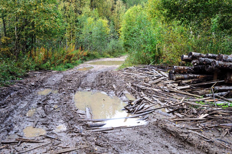 Large paddles on the dirt road