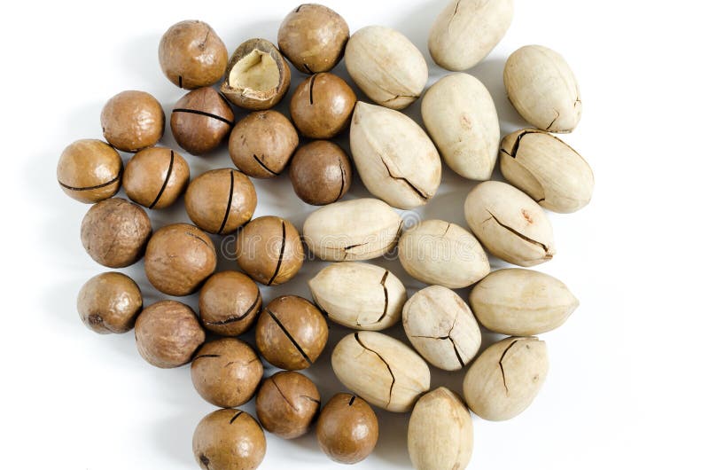 Large Pecans and Sweet Macadamia Nuts on a White Background Stock Image