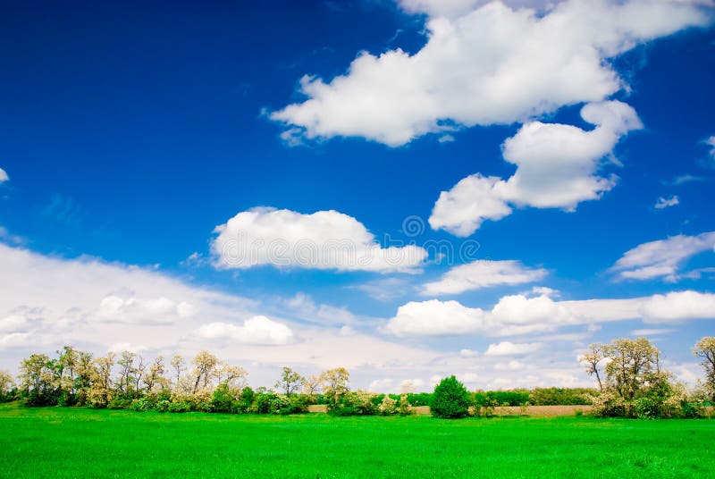 Large Piece Of Land Stock Photo Image Of Environment 2480542 large-piece-of-land-stock-photo-image-of-environment-2480542