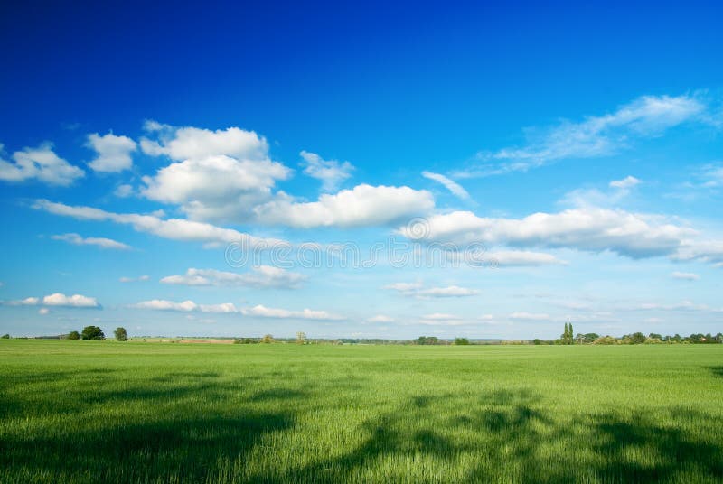 Hill stock image. Image of field, blue, freshness, cloudscape - 13264359