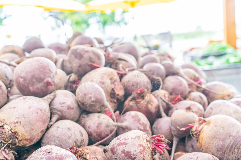 Large pile of red beet root vegetables, dried and cured, harvested and being sold at a farmer`s market. Soft, hazy lighting royalty free stock photos Large pile of red beet root vegetables, dried and cured, harvested and being sold at a farmer`s market. Soft, hazy lighting royalty free stock photos