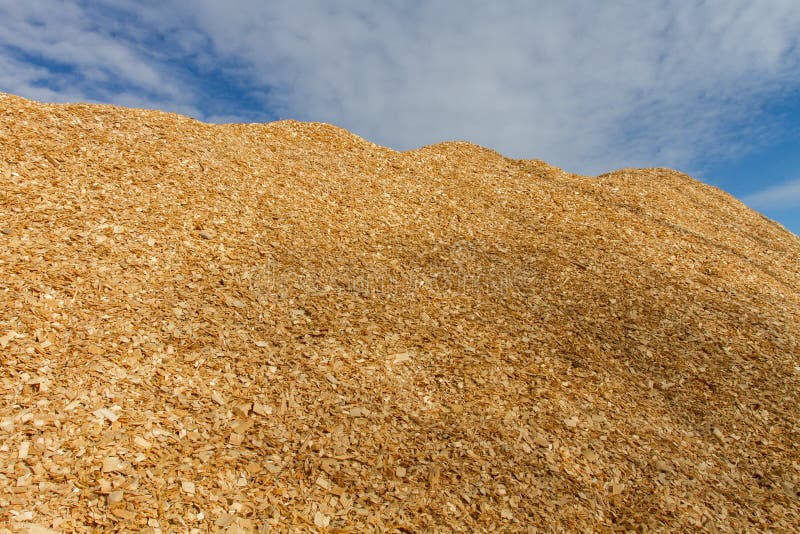Large Pile of Wood Chips with Tree Shadow Stock Image Image of wood