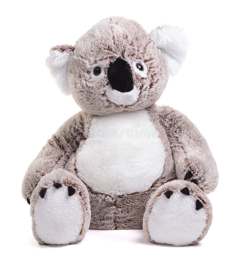 Large Plush Koala Toy Isolated Stock Image Image of isolated, white