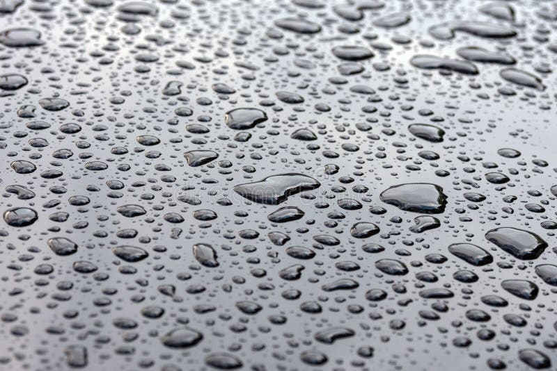 Large raindrops on a glossy black surface. Texture. Close-up royalty free stock photo Large raindrops on a glossy black surface. Texture. Close-up royalty free stock photo