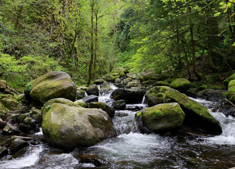 Large Rocks, Stones and Rapids along a Stream