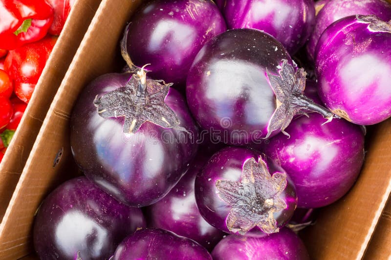 Large Round Purple Eggplant Stock Photo Image of jean, montreal 77148986