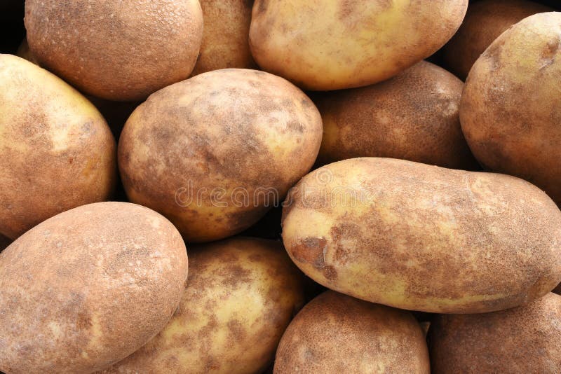 Large Raw Russet Potatoes Closeup in a Traditional Vegetable Market