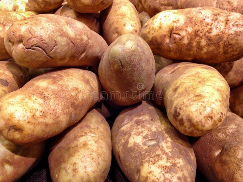 Large Raw Russet Potatoes Closeup in a Traditional Vegetable Market