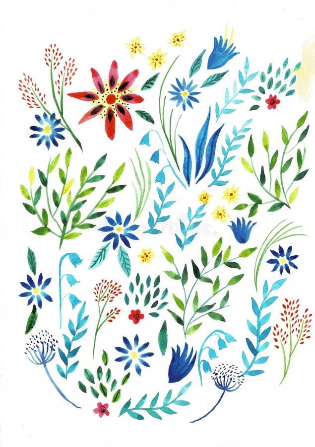 Large set watercolor illustration. Botanical collection of wild and garden plants. Set: leaves, flowers, branches, herbs vector illustration Large set watercolor illustration. Botanical collection of wild and garden plants. Set: leaves, flowers, branches, herbs vector illustration