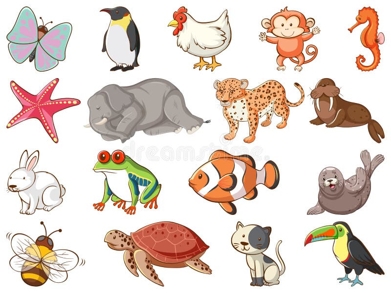 Large Set of Wildlife with Many Types of Animals Stock Vector -  Illustration of fish, african: 172919286