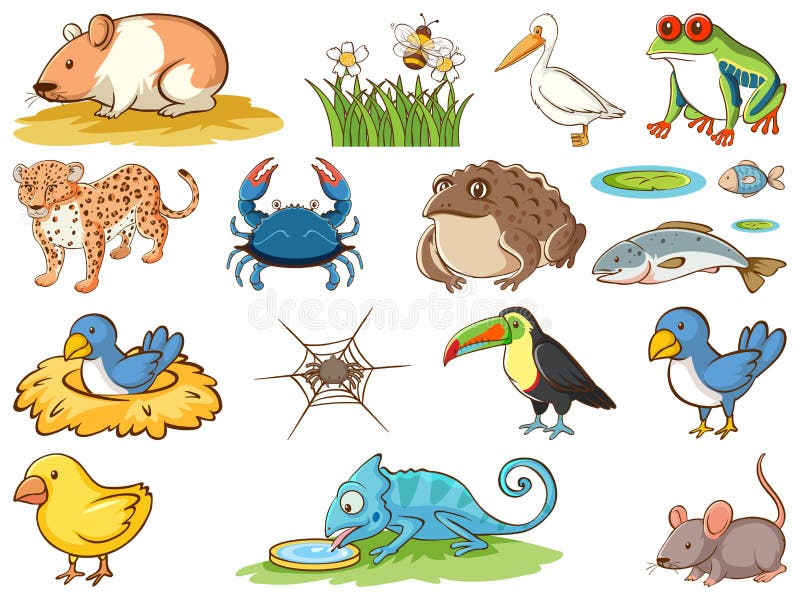 Large Set of Wildlife with Many Types of Animals Stock Vector -  Illustration of wildlife, flower: 169487637