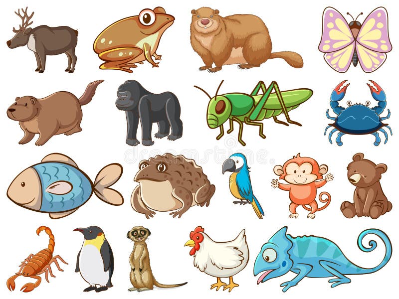 Large Set of Wildlife with Many Types of Animals and Insects Stock Vector -  Illustration of wildlife, insect: 169485629