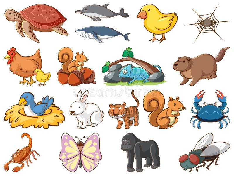 Large Set of Wildlife with Many Types of Animals Land and Sea Stock Vector  - Illustration of monkeys, flying: 169486082