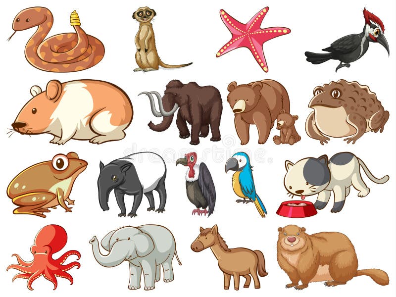 Large Set of Wildlife with Many Types of Animals Land and Sea Stock Vector  - Illustration of reptile, snakes: 169485520