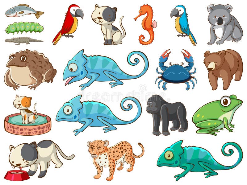 Large Set of Wildlife with Many Types of Animals Stock Vector ...