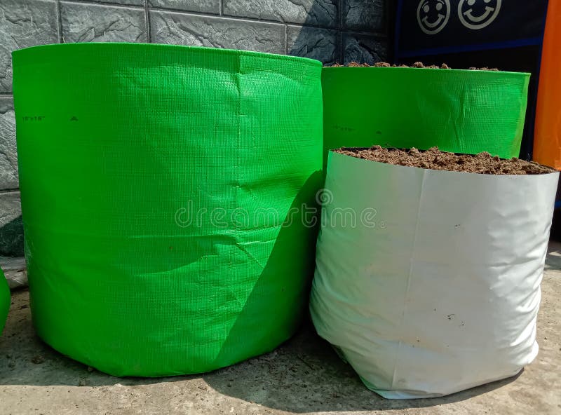 1,577 Grow Bags Stock Photos - Free & Royalty-Free Stock Photos from  Dreamstime