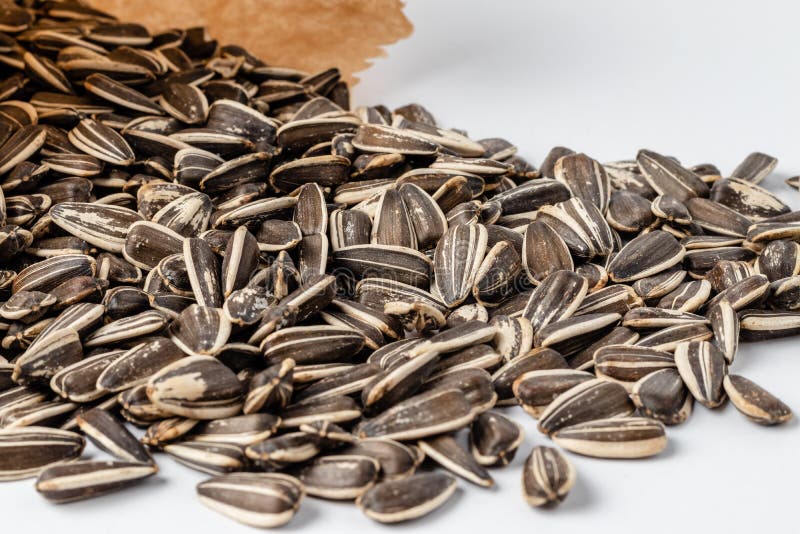 Striped Sunflower Seeds Isolated on White Background with Clipping Path