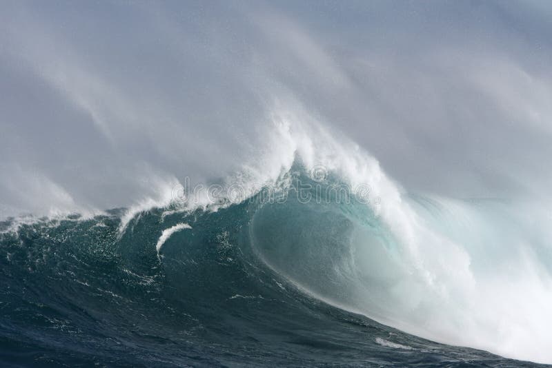 Large surf wave with barrel and wind.