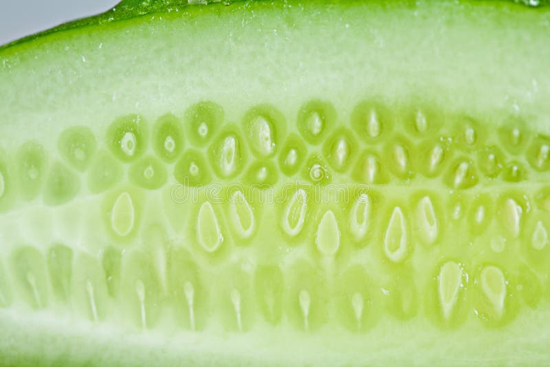 Cucumber texture stock photo. Image of edible, isolated 1320920