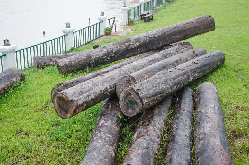 Large Timber for Construction. Stock Photo Image of grain, lumberjack