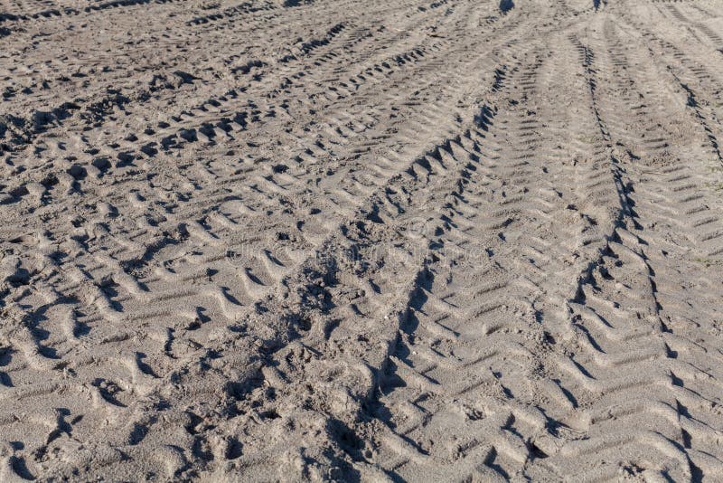 Large Tire Tracks in Sand