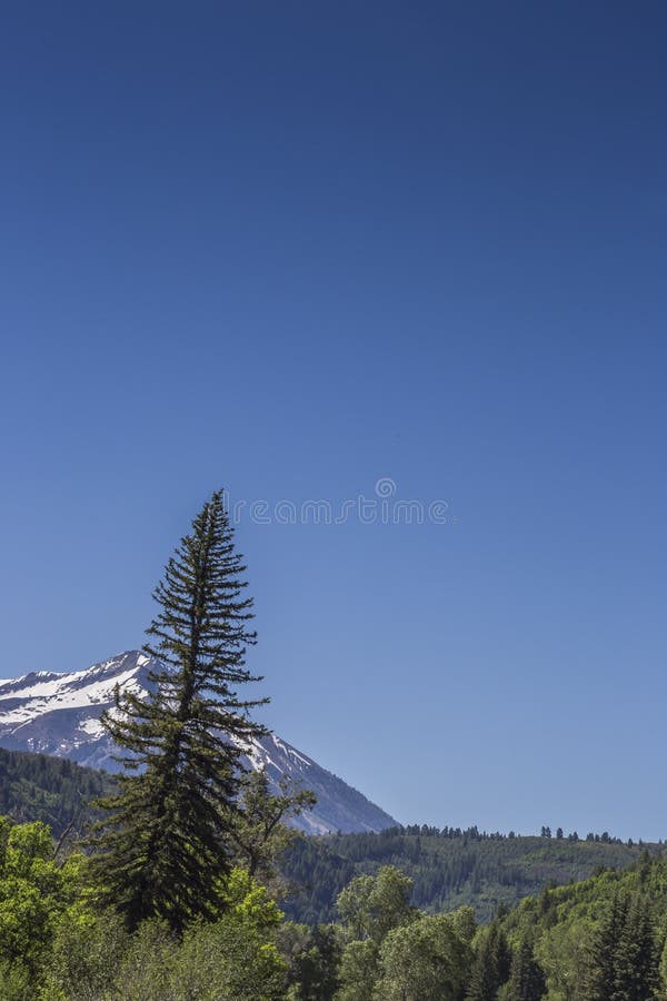 Majestic Snow Peaks at Paonia State Park, Colorado Stock Image Image