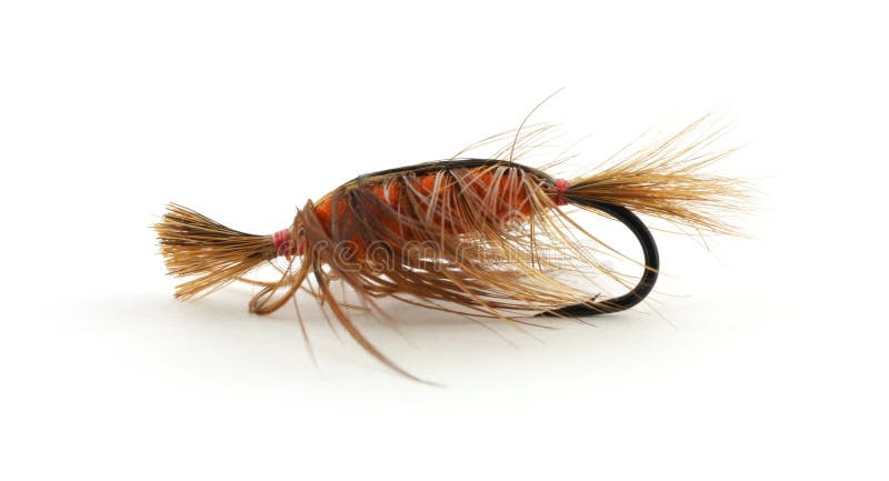 Large trout fly-fishing fly