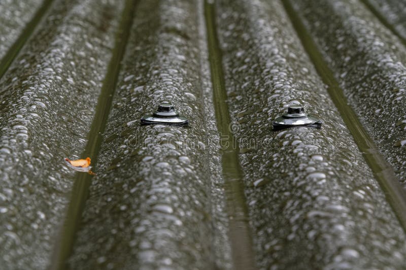 Large Umbrella Nails or Screws Hold Down Corrugated Iron Roofing Stock